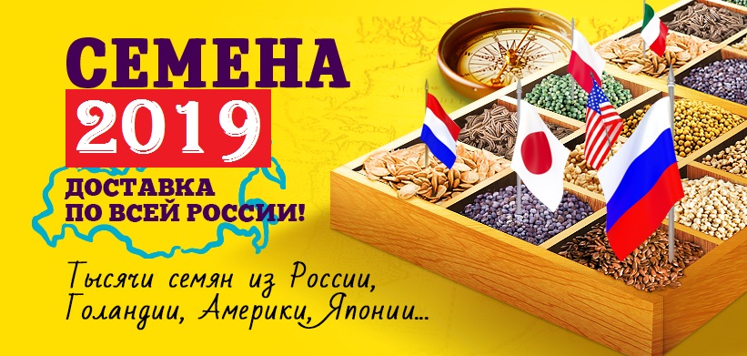 семена 